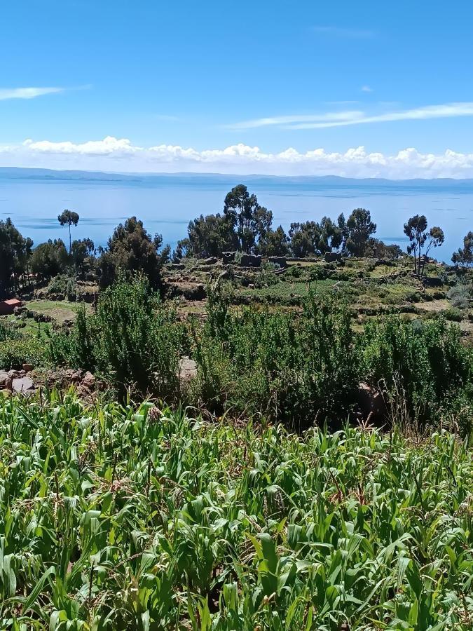 Taquile Familia Celso Hotel Huillanopampa Kültér fotó
