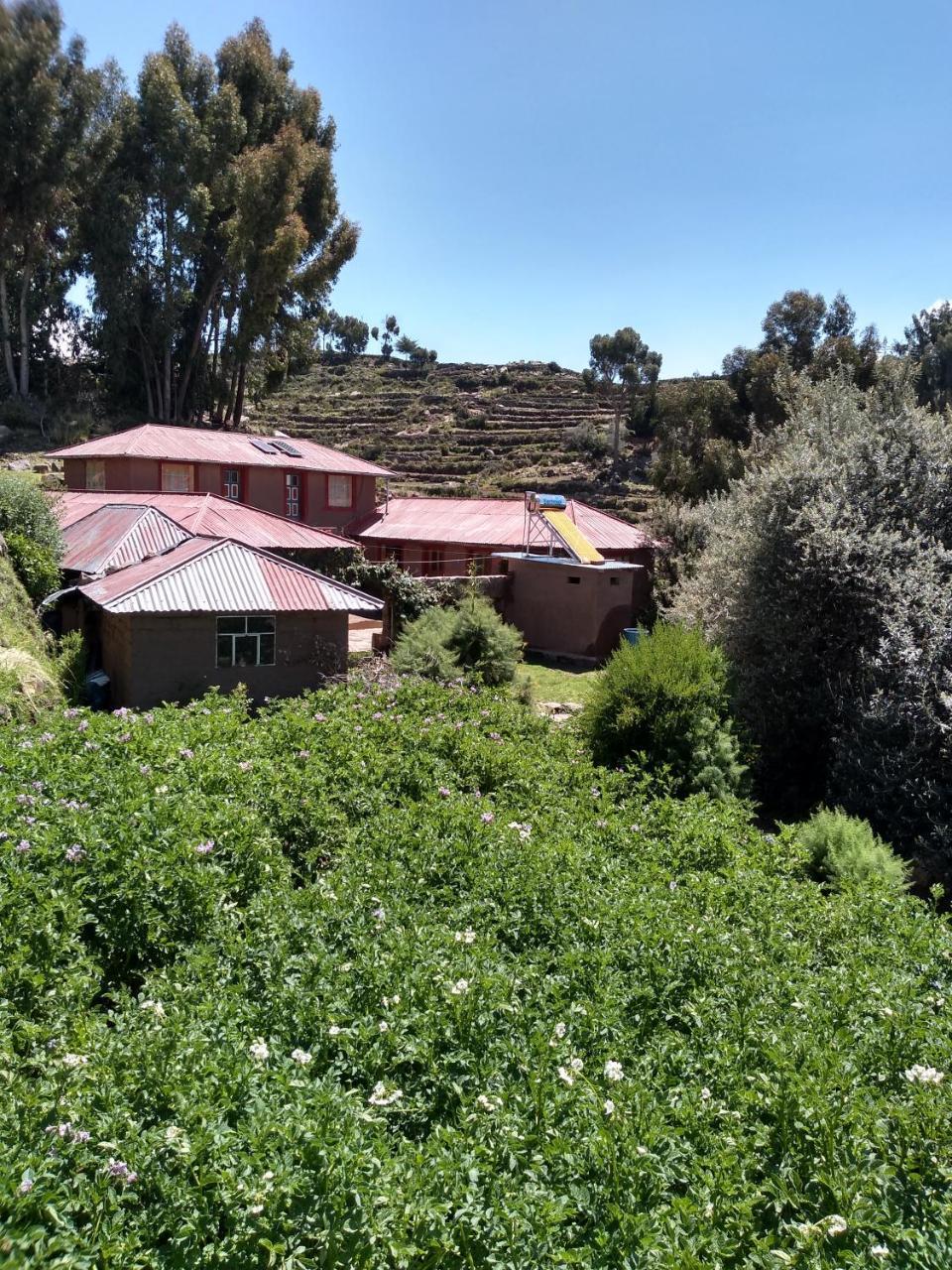 Taquile Familia Celso Hotel Huillanopampa Kültér fotó